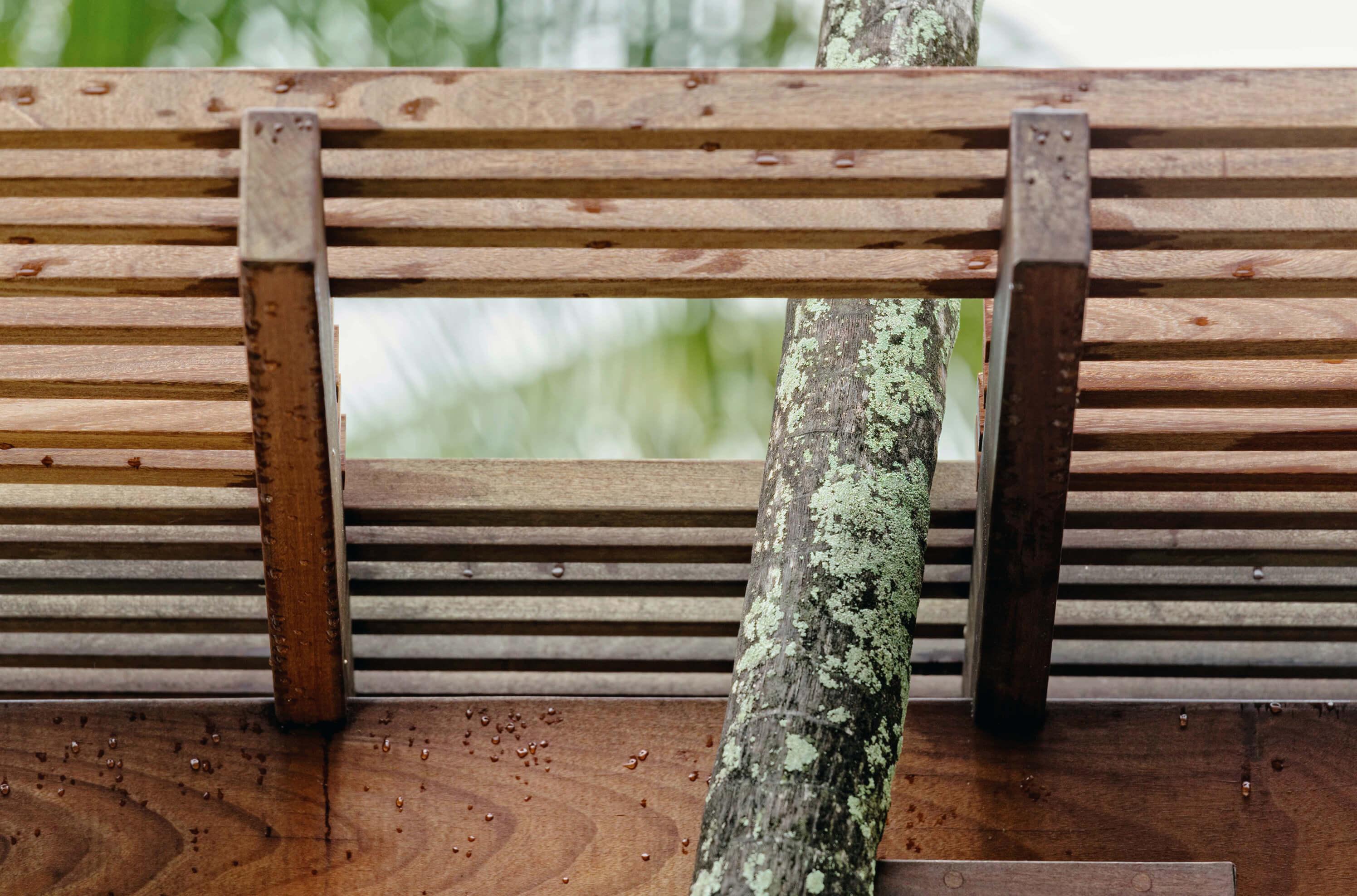 Five Palms
