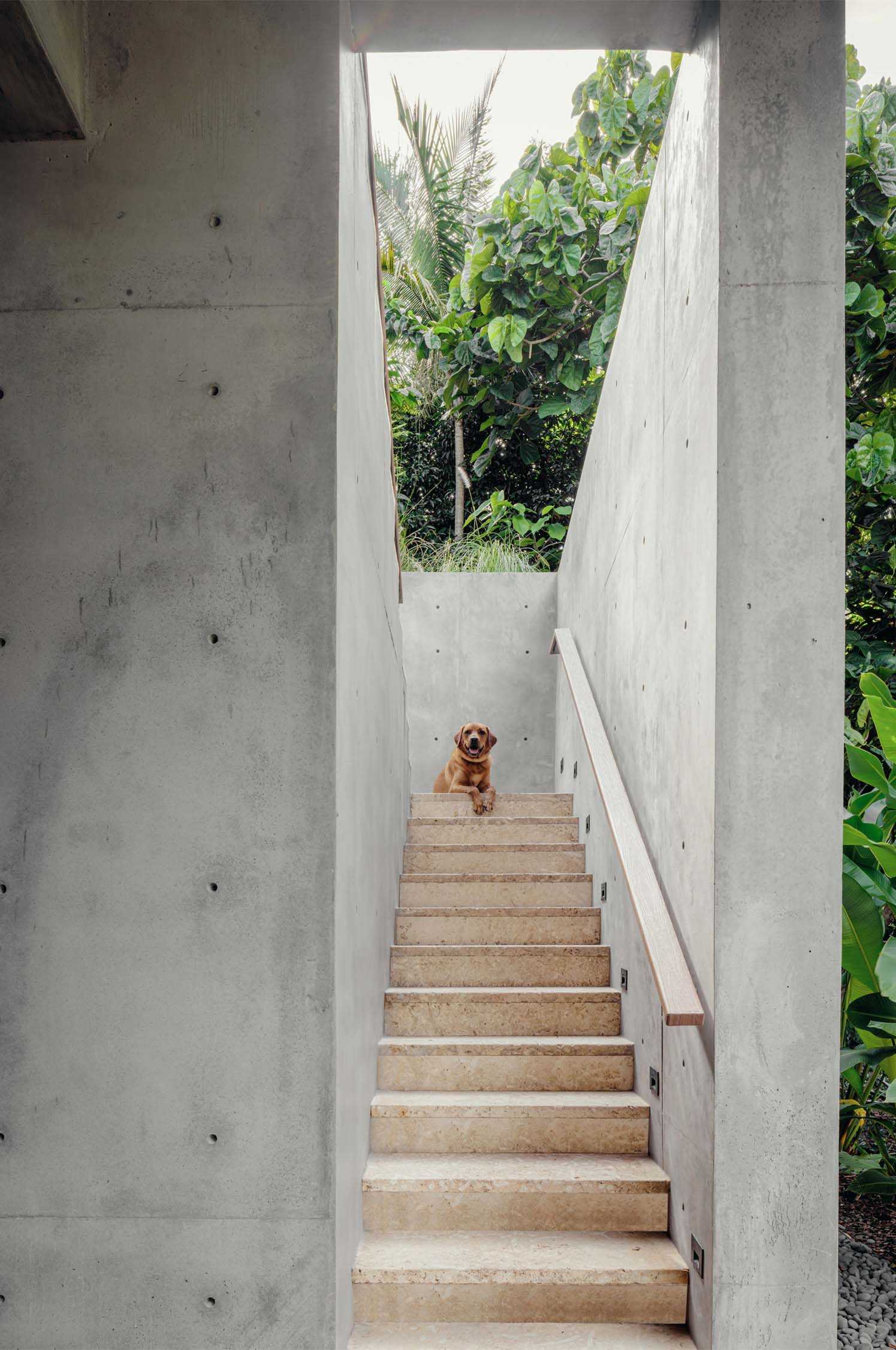 Rock Pine Residence